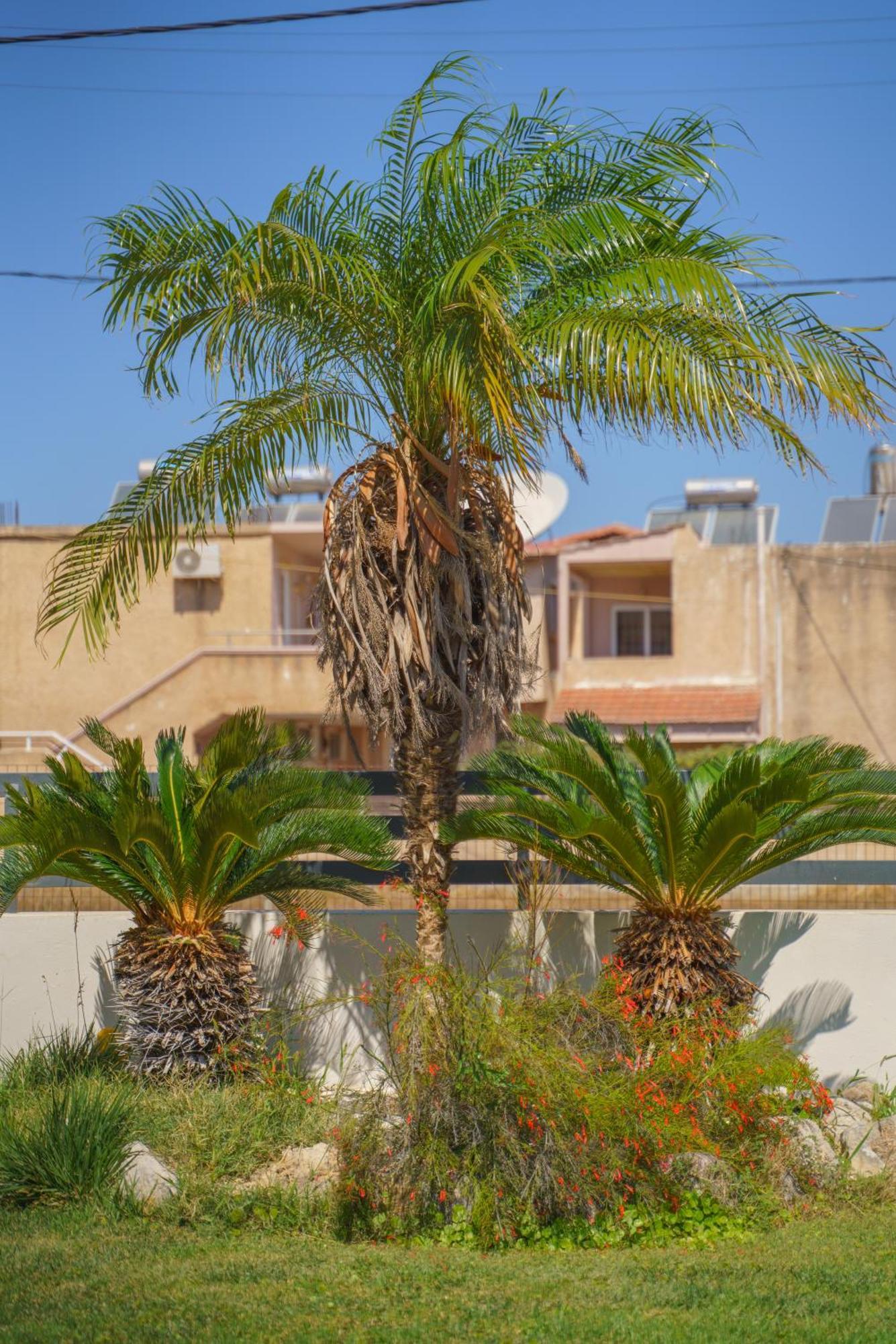 Villa Stamatina Pastida المظهر الخارجي الصورة